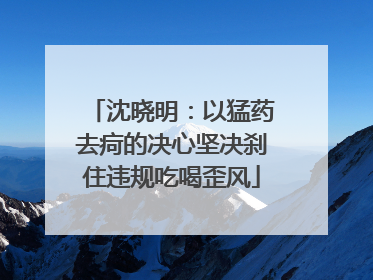 沈晓明：以猛药去疴的决心坚决刹住违规吃喝歪风