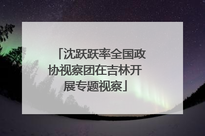 沈跃跃率全国政协视察团在吉林开展专题视察