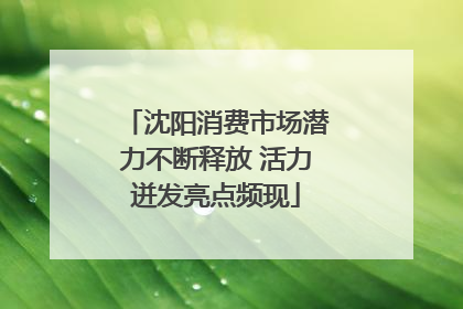 沈阳消费市场潜力不断释放 活力迸发亮点频现