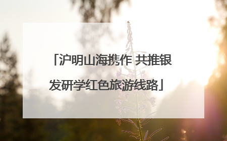 沪明山海携作 共推银发研学红色旅游线路
