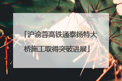 沪渝蓉高铁通泰扬特大桥施工取得突破进展