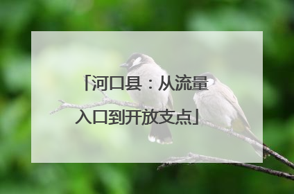 河口县：从流量入口到开放支点