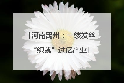 河南禹州：一缕发丝“织就”过亿产业