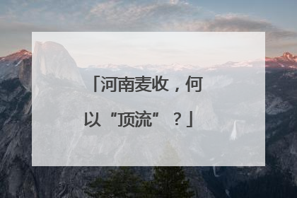 河南麦收，何以“顶流”？