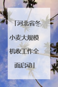 河北省冬小麦大规模机收工作全面启动