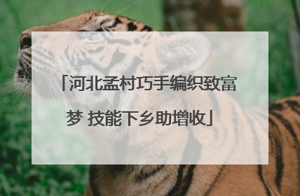河北孟村巧手编织致富梦 技能下乡助增收