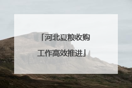 河北夏粮收购工作高效推进