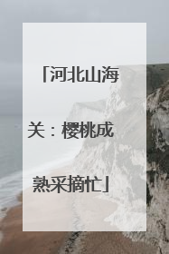 河北山海关：樱桃成熟采摘忙