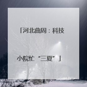 河北曲周：科技小院忙“三夏”
