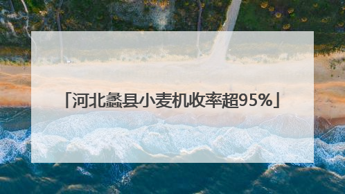 河北蠡县小麦机收率超95%