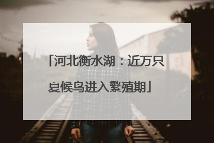 河北衡水湖：近万只夏候鸟进入繁殖期
