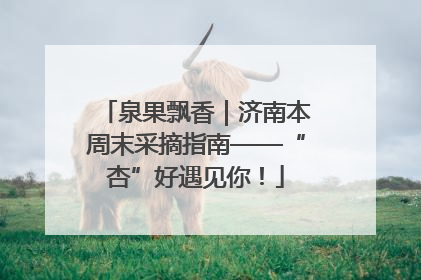 泉果飘香｜济南本周末采摘指南——“杏”好遇见你！