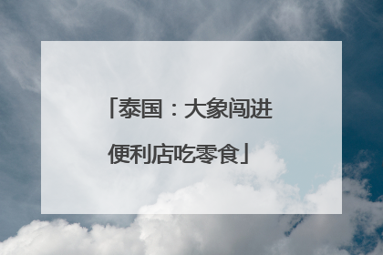泰国：大象闯进便利店吃零食
