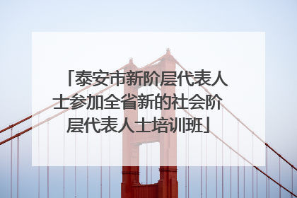 泰安市新阶层代表人士参加全省新的社会阶层代表人士培训班