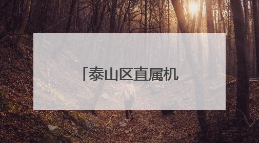 泰山区直属机关幼儿园：欢乐六一迎端午，泰山文化润童心