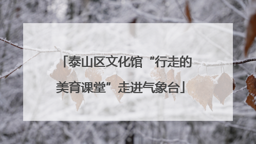 泰山区文化馆“行走的美育课堂”走进气象台