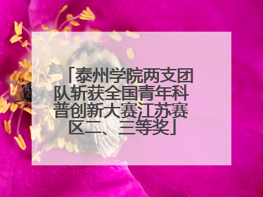 泰州学院两支团队斩获全国青年科普创新大赛江苏赛区二、三等奖
