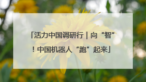 活力中国调研行｜向“智”！中国机器人“跑”起来