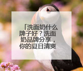 洗面奶什么牌子好？洗面奶品牌分享，你的夏日清爽福音！