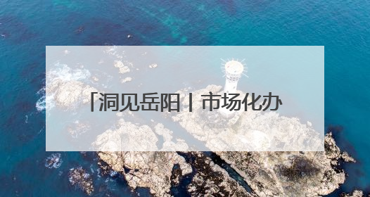 洞见岳阳丨市场化办会的“岳阳模式”