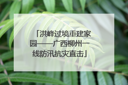 洪峰过境重建家园——广西柳州一线防汛抗灾直击