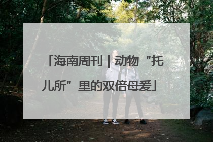 海南周刊｜动物“托儿所”里的双倍母爱