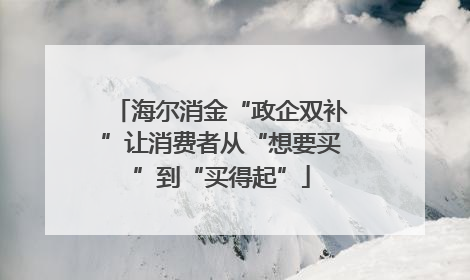 海尔消金“政企双补”让消费者从“想要买”到“买得起”