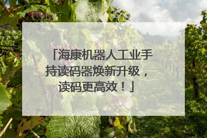 海康机器人工业手持读码器焕新升级，读码更高效！