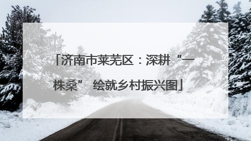 济南市莱芜区：深耕“一株桑” 绘就乡村振兴图