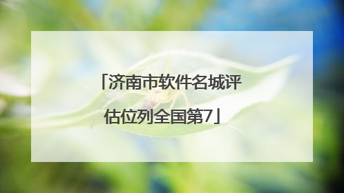 济南市软件名城评估位列全国第7