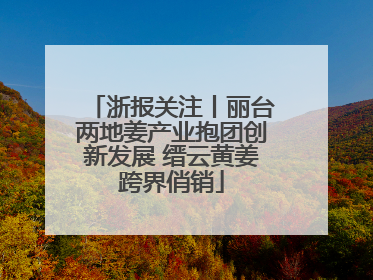 浙报关注丨丽台两地姜产业抱团创新发展 缙云黄姜跨界俏销