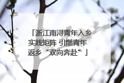 浙江南浔青年入乡实践矩阵 引燃青年返乡“双向奔赴”