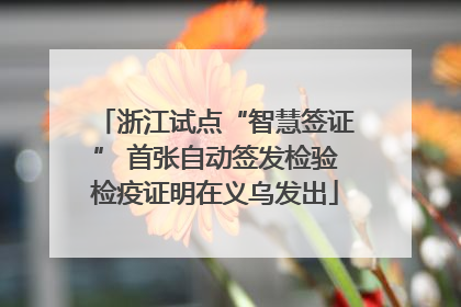 浙江试点“智慧签证” 首张自动签发检验检疫证明在义乌发出