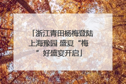 浙江青田杨梅登陆上海豫园 盛夏“梅”好盛宴开启