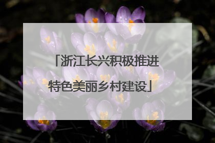 浙江长兴积极推进特色美丽乡村建设