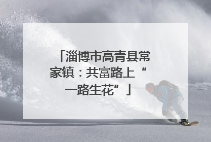 淄博市高青县常家镇：共富路上“一路生花”