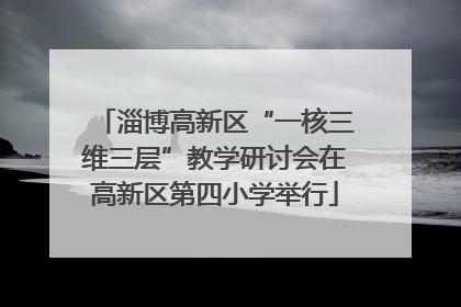 淄博高新区“一核三维三层”教学研讨会在高新区第四小学举行