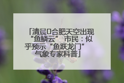 清晨﻿合肥天空出现“鱼鳞云” 市民：似乎预示“鱼跃龙门” 气象专家科普