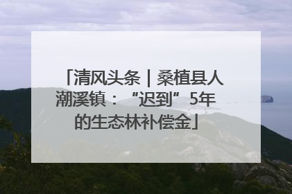 清风头条｜桑植县人潮溪镇：“迟到”5年的生态林补偿金