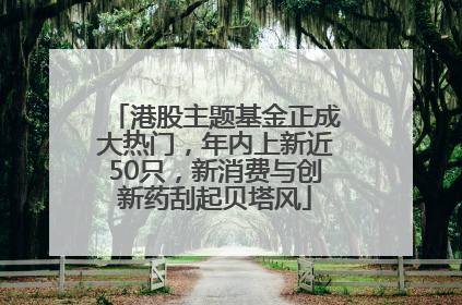 港股主题基金正成大热门，年内上新近50只，新消费与创新药刮起贝塔风