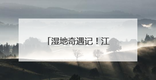 湿地奇遇记！江苏中行把金融知识“种”进公园里