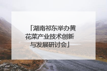 湖南祁东举办黄花菜产业技术创新与发展研讨会