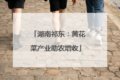 湖南祁东：黄花菜产业助农增收