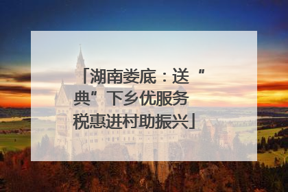 湖南娄底：送“典”下乡优服务 税惠进村助振兴