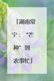 湖南常宁：“芒种”到 农事忙