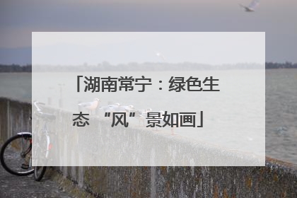 湖南常宁：绿色生态 “风”景如画
