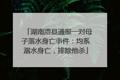 湖南澧县通报一对母子落水身亡事件：均系溺水身亡，排除他杀
