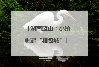 湖南蓝山：小镇崛起“箱包城”