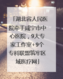 湖北省人民医院牵手咸宁市中心医院，9大专家工作室+9个专科联盟筑牢区域医疗网