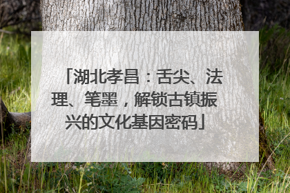 湖北孝昌：舌尖、法理、笔墨，解锁古镇振兴的文化基因密码